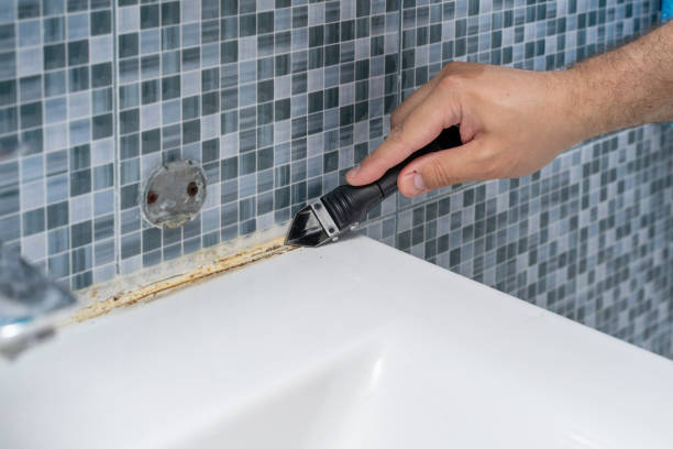 Best Kitchen Mold Remediation in Griggsvle, IL